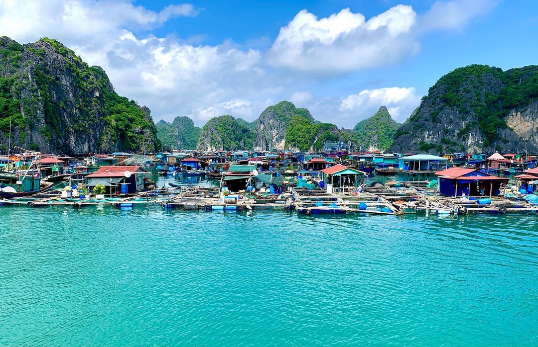 Du lịch ở Cát Bà nhưng tại nơi hoang sơ, yên tĩnh khác hoàn toàn với dòng người đang đổ về đây như trẩy hội - Ảnh 2. Du lịch ở Cát Bà nhưng tại nơi hoang sơ, yên tĩnh khác hoàn toàn với dòng người đang đổ về đây như trẩy hội - Ảnh 2.