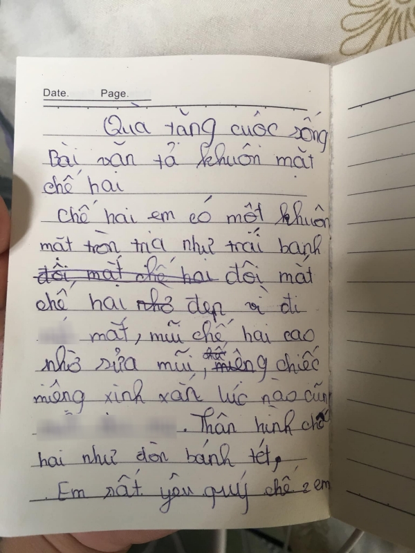 Bài văn tả thân hình chị hai như &quot;đòn bánh tét&quot; khiến dân mạng phì cười - Ảnh 1.