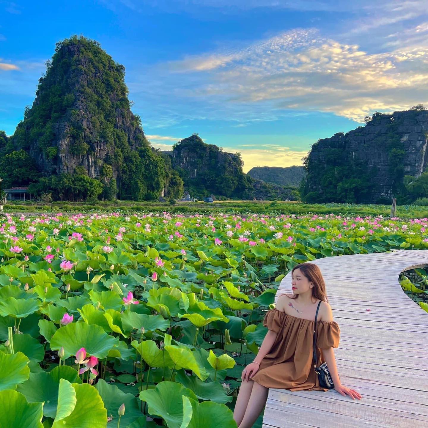 Hồ sen là một trong những địa điểm du lịch nổi tiếng ở Việt Nam với cảnh quan tuyệt đẹp của hàng chục ngàn bông sen nở rộ trên mặt nước. Hãy cùng chiêm ngưỡng bức tranh thiên nhiên tuyệt vời này và thưởng ngoạn những trải nghiệm độc đáo tại hồ sen!