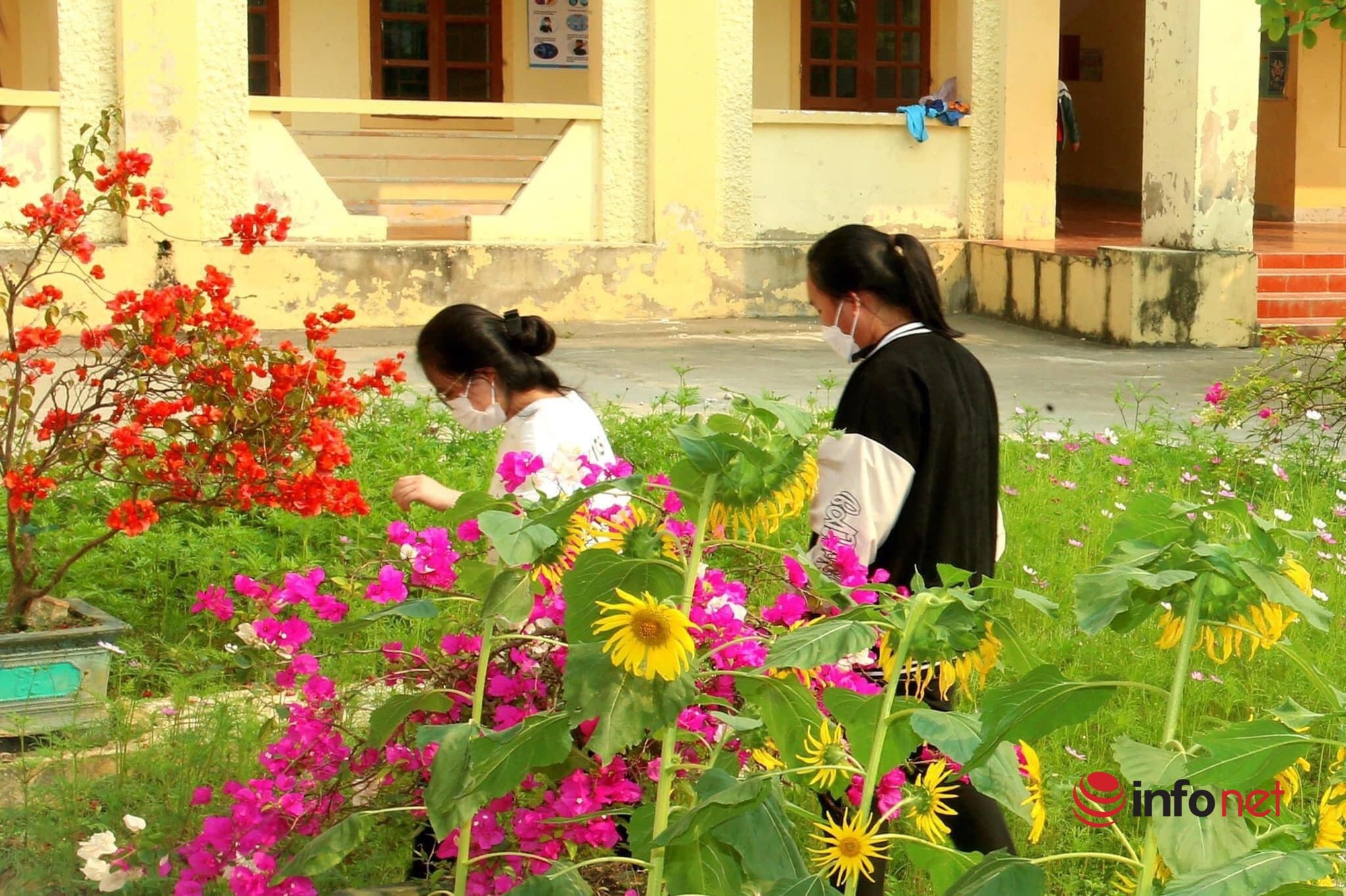 Hà Tĩnh có 1 ngôi trường gây bất ngờ với khuôn viên hoa lá rực rỡ như công viên - Ảnh 3.