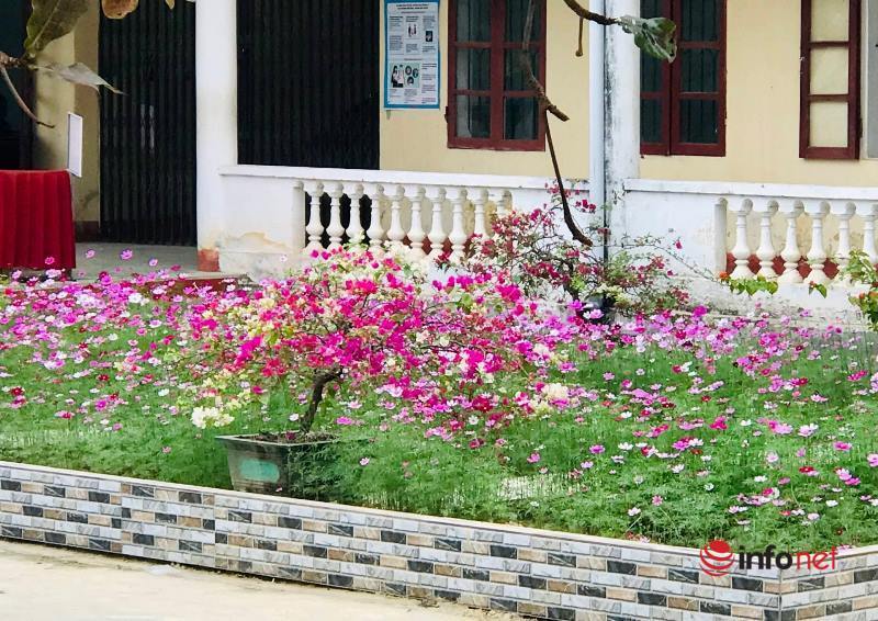 Hà Tĩnh có 1 ngôi trường gây bất ngờ với khuôn viên hoa lá rực rỡ như công viên - Ảnh 6.