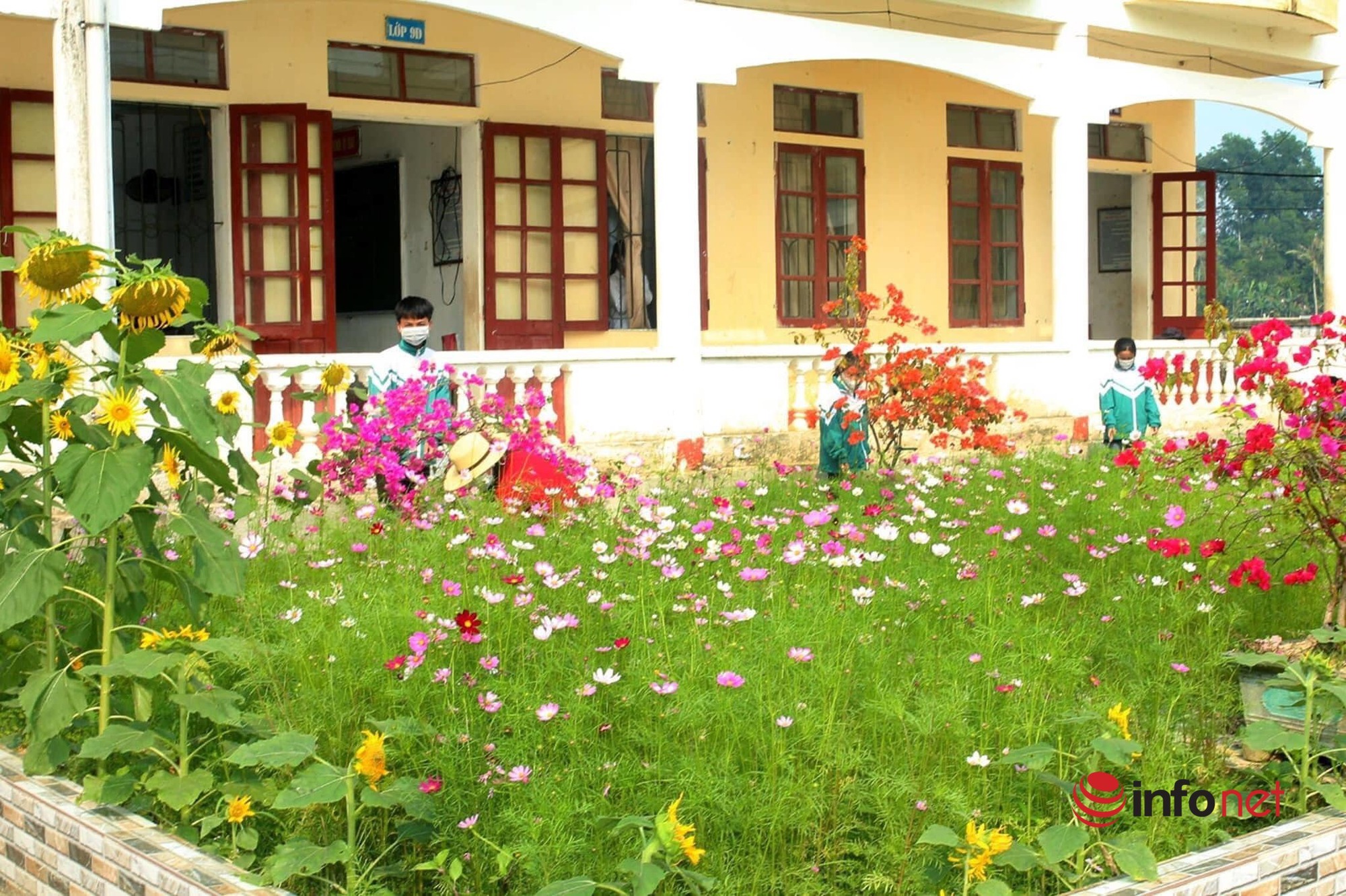 Hà Tĩnh có 1 ngôi trường gây bất ngờ với khuôn viên hoa lá rực rỡ như công viên - Ảnh 4.