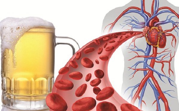 How should heart failure patients eat to prevent the disease from getting worse?  - Photo 4.