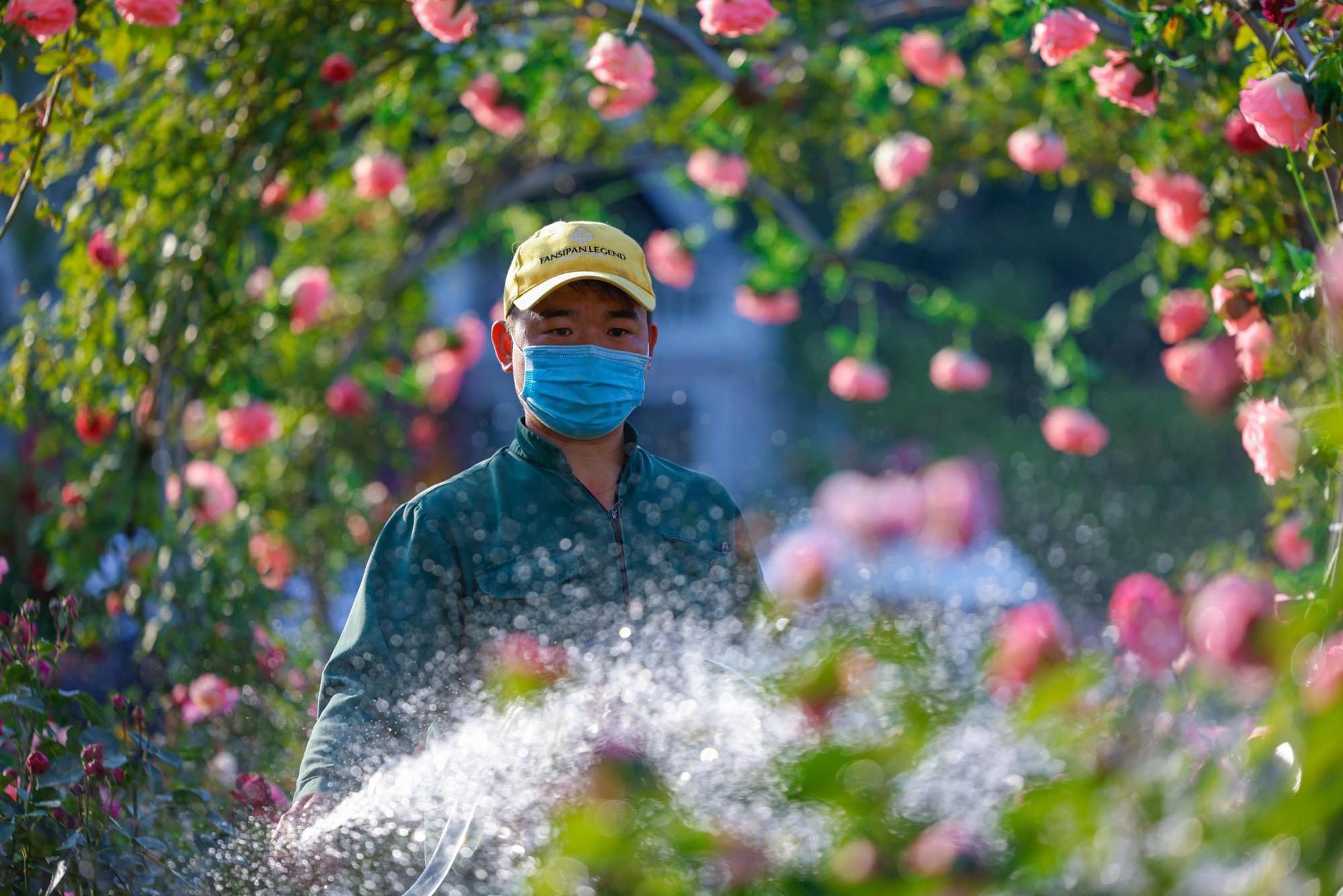 Chơi công viên giải trí mùa hè: Làm sao để vừa vui vừa khoẻ? - Ảnh 5.