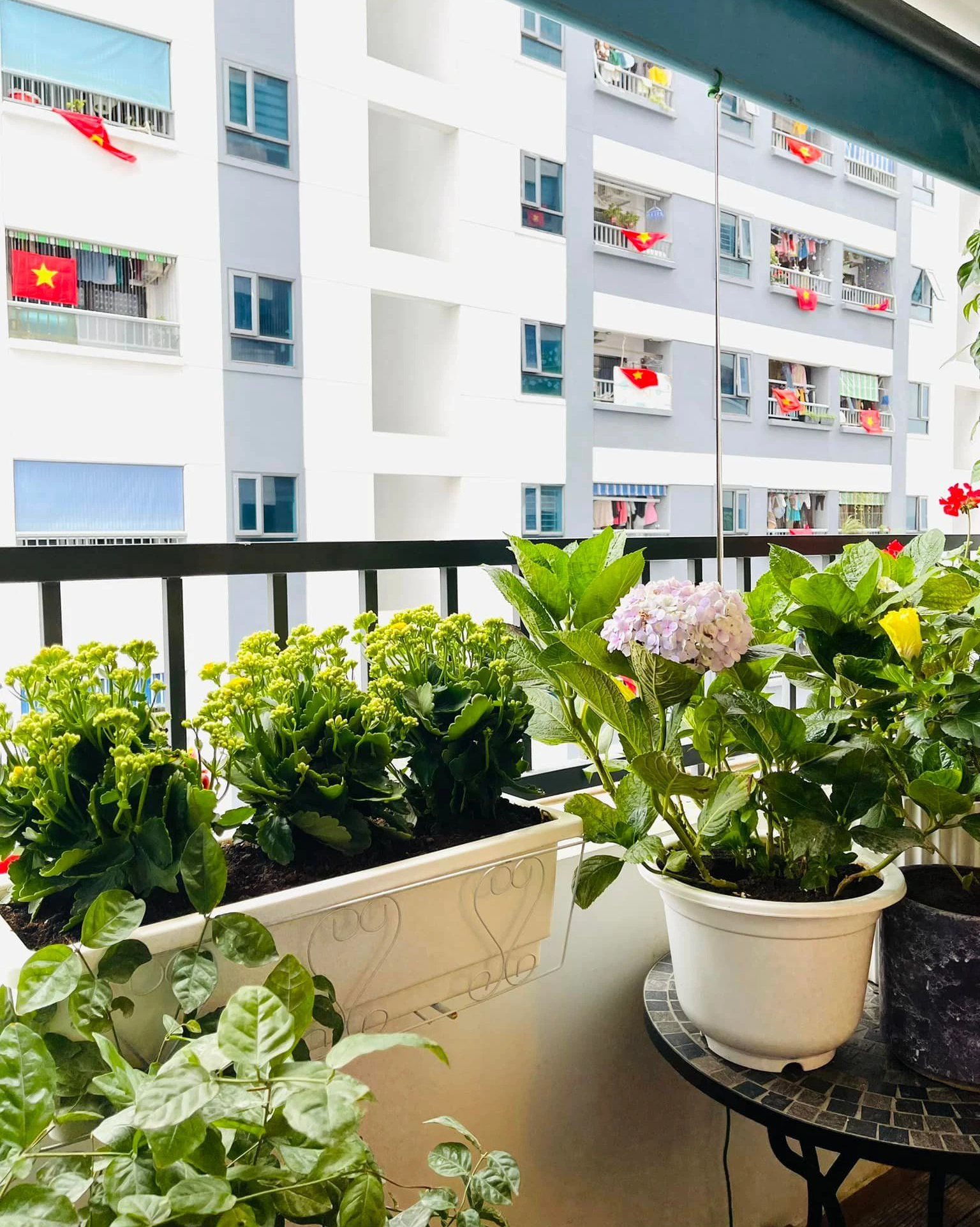 Cặp vợ chồng trẻ ở Nghệ An đập th&ocirc;ng 2 căn hộ 69m&sup2; rồi "thỏa sức" decor theo phong c&aacute;ch t&acirc;n cổ điển sang trọng  - Ảnh 14.