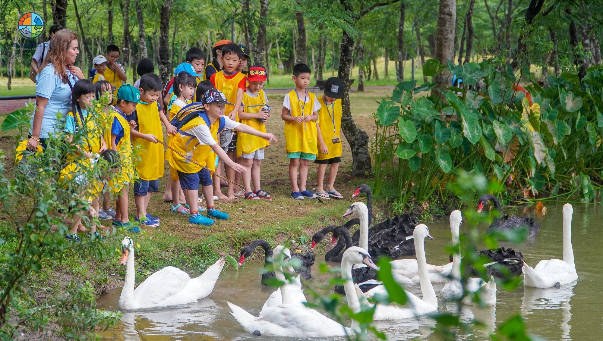 Tay Ho district has a beautiful 6000m2 school like a park: Children learn a special subject to have a sense of green living from the very beginning - Photo 8.