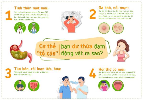 ‘Ăn cả thế gian’ và những hiểm họa đối với sức khỏe - Ảnh 2.