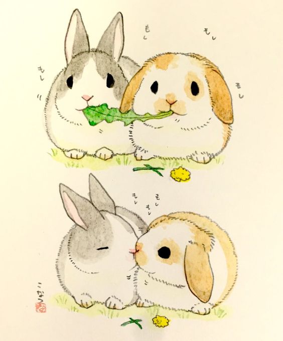 Bạn muốn nuôi thỏ nhưng chưa biết bắt đầu từ đâu? Đừng lo lắng! Hãy xem bức ảnh thỏ đáng yêu này để tìm hiểu và khám phá thêm về việc nuôi thỏ cưng của bạn.