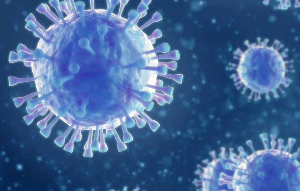 New corona virus detected in Sweden, not sure if it is dangerous to people - Photo 1.