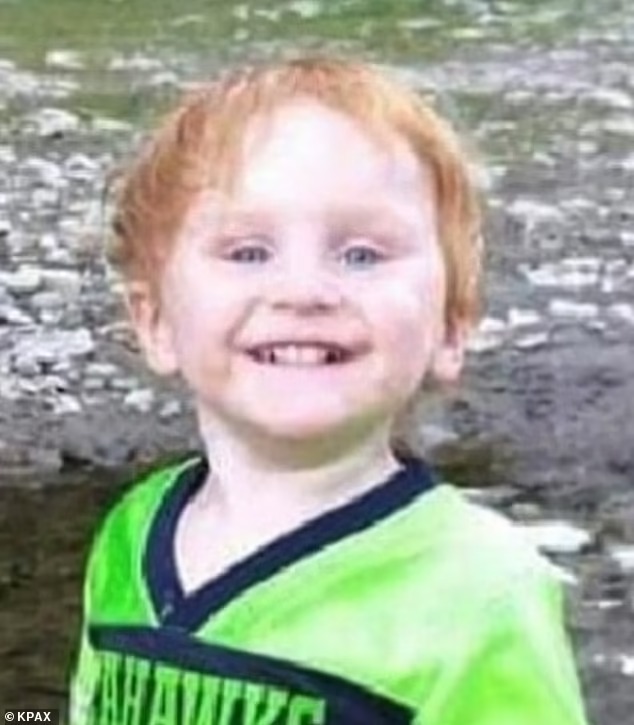 Một cậu bé 4 tuổi sống sót kỳ diệu sau 2 ngày mất tích, nơi nó được tìm thấy khiến người lớn vô cùng kinh ngạc - Ảnh 3.