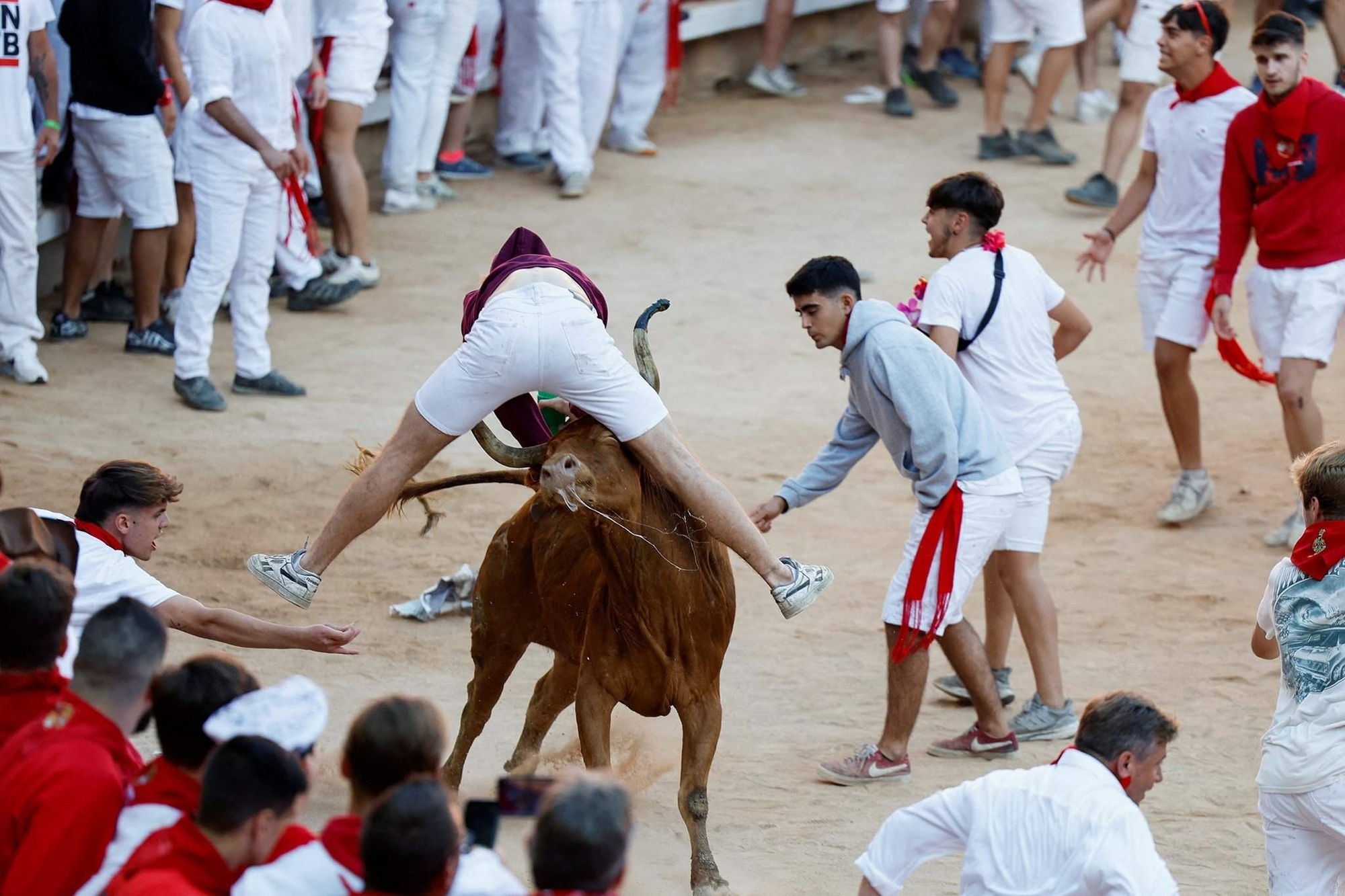 Thót tim với những người tham gia lễ hội đua bò tót San Fermin ở Tây Ban Nha - Ảnh 9.