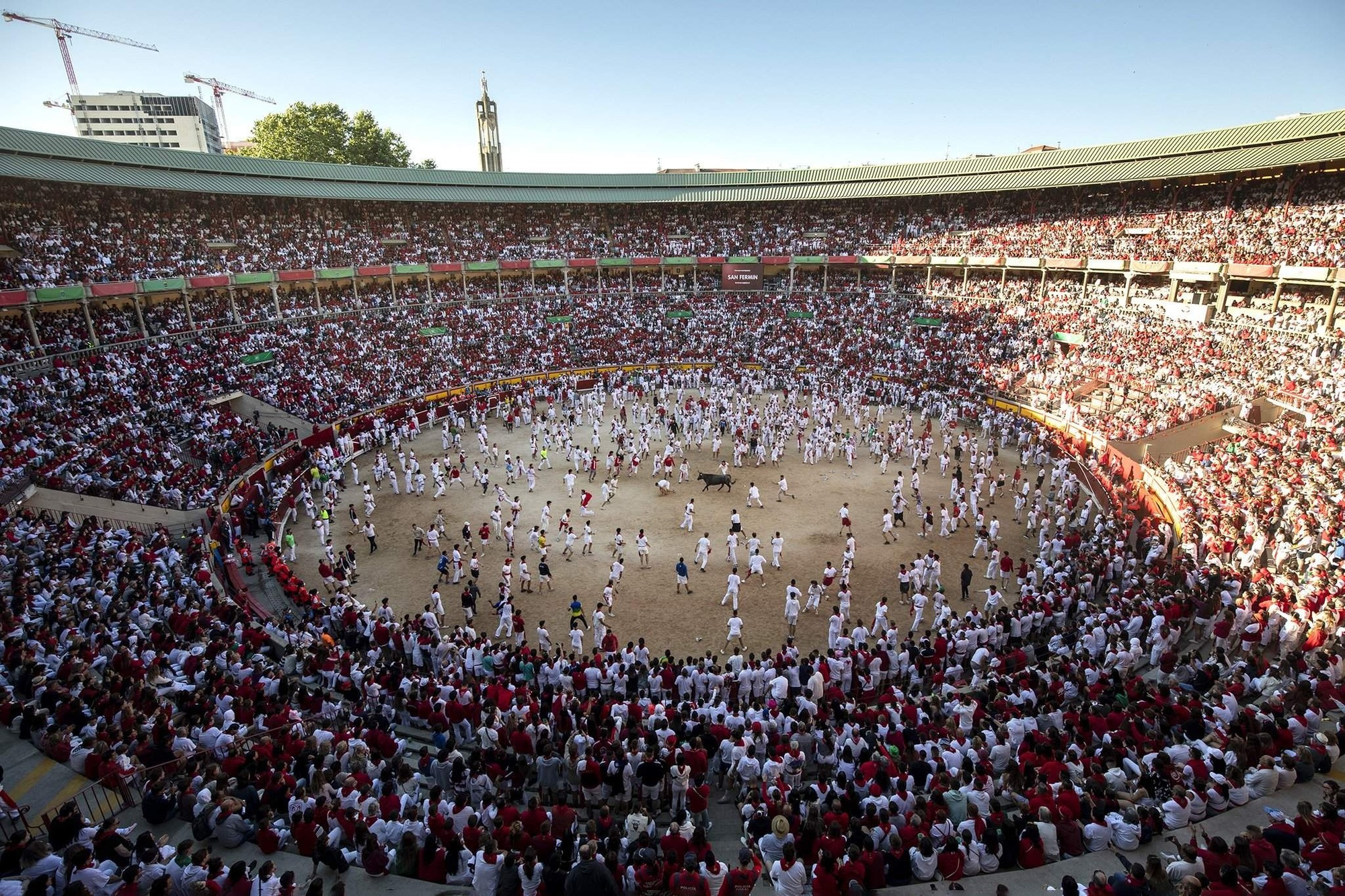 Thót tim với những người tham gia lễ hội đua bò tót San Fermin ở Tây Ban Nha - Ảnh 10.
