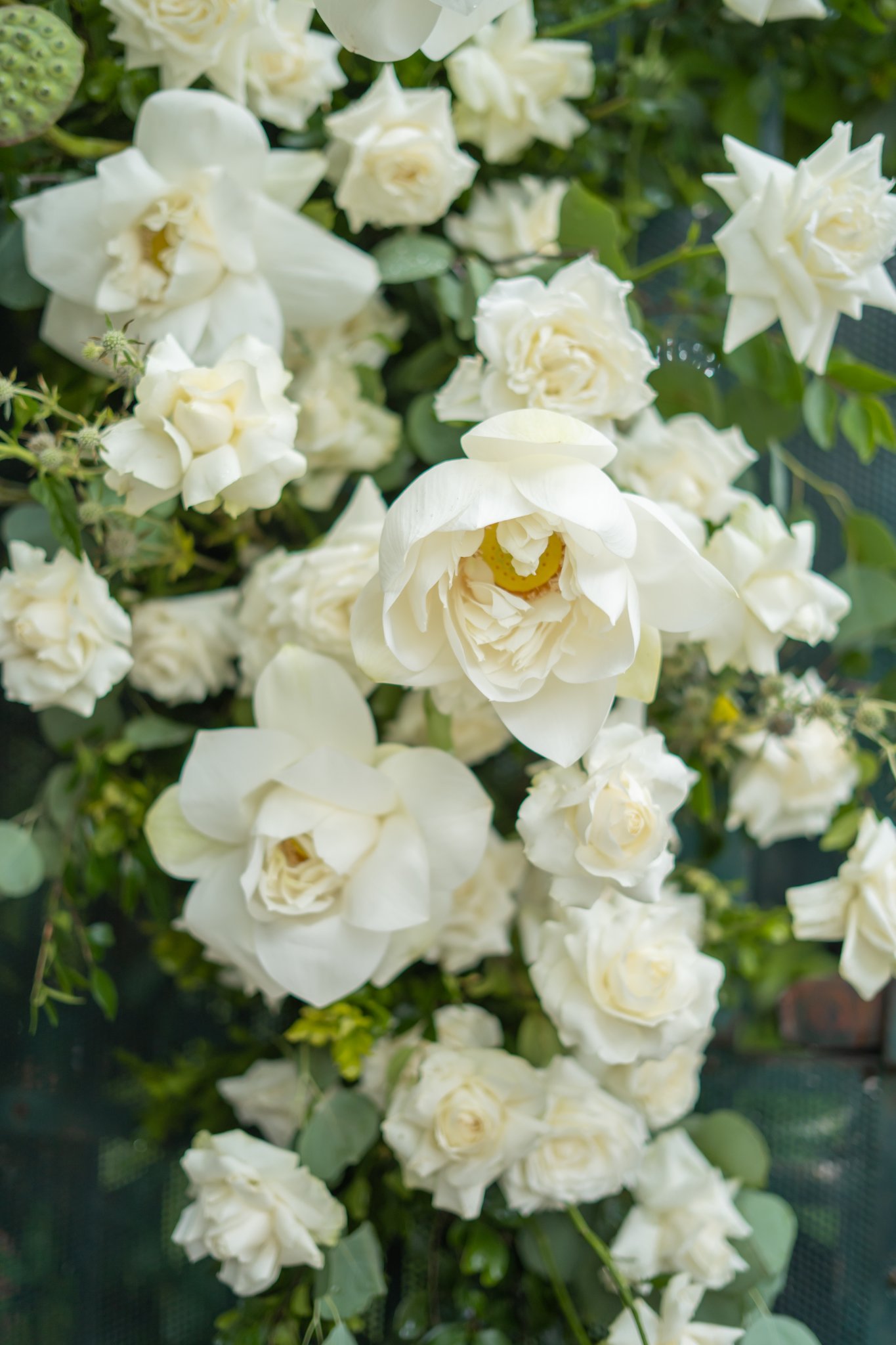 Đ&aacute;m hỏi sen đẳng cấp, đưa th&uacute; chơi khoảnh khắc v&agrave;o sự kiện một c&aacute;ch cầu kỳ v&agrave; tinh tế - Ảnh 4.