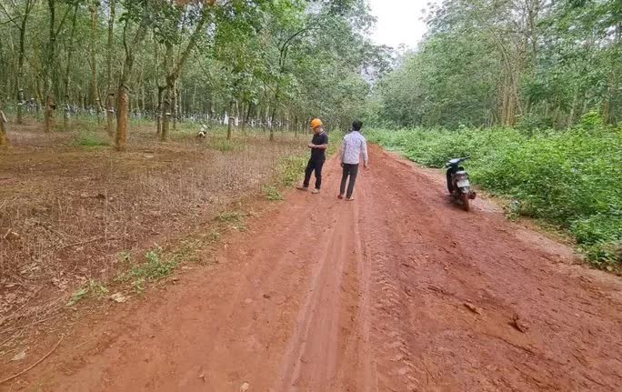 Th&ocirc;ng tin bất ngờ về vụ ch&aacute;u b&eacute; bị đốt - Ảnh 2.