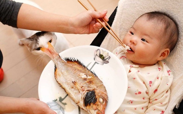 Những lưu ý quan trọng không phải cha mẹ nào cũng biết khi cho con ăn hải sản?