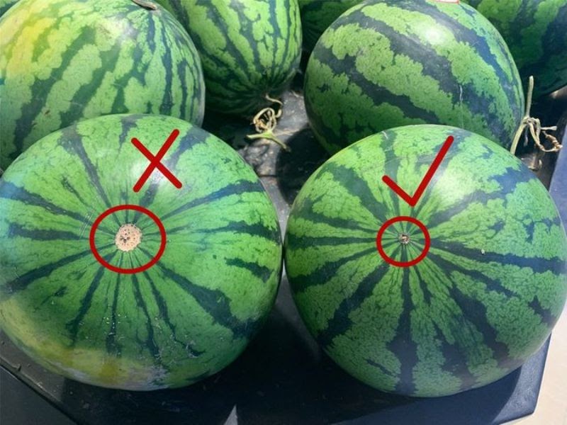 C&aacute;ch chọn dưa hấu nhiều nước v&agrave; ngọt hơn, lựa 10 quả tr&uacute;ng cả 10 - Ảnh 4.