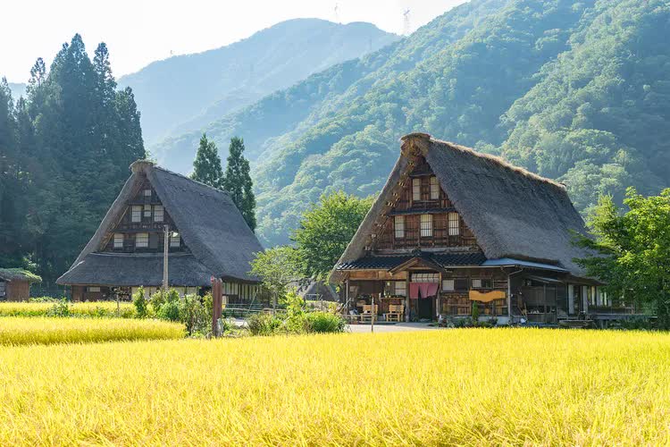 Du lịch kiểu mới mà cũ ở Nhật: &quot;Đi trốn&quot; trong những ngôi nhà cổ gần gũi thiên nhiên, náu mình khỏi đô thị xô bồ - Ảnh 3.