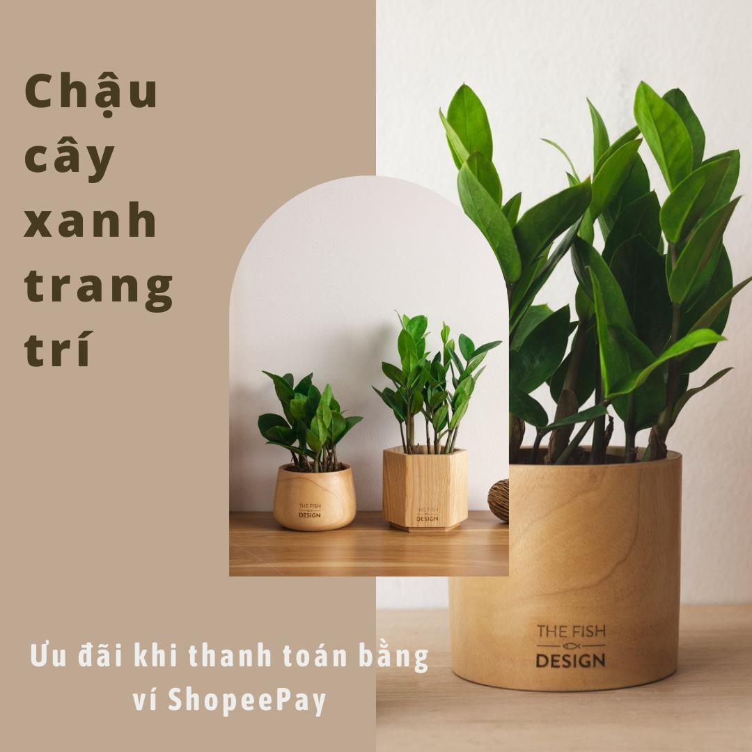 Xua tan nắng nóng mùa hè với 4 mẹo trang trí phòng ngủ xanh mát chỉ từ 79K - Ảnh 3.