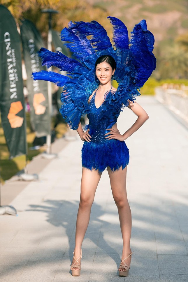 Thí sinh Miss World Vietnam 2022 mặc đồ carnival nóng bỏng, diễu hành trên đường phố Quy Nhơn - Ảnh 14. Thí sinh Miss World Vietnam 2022 mặc đồ carnival nóng bỏng, diễu hành trên đường phố Quy Nhơn - Ảnh 14.