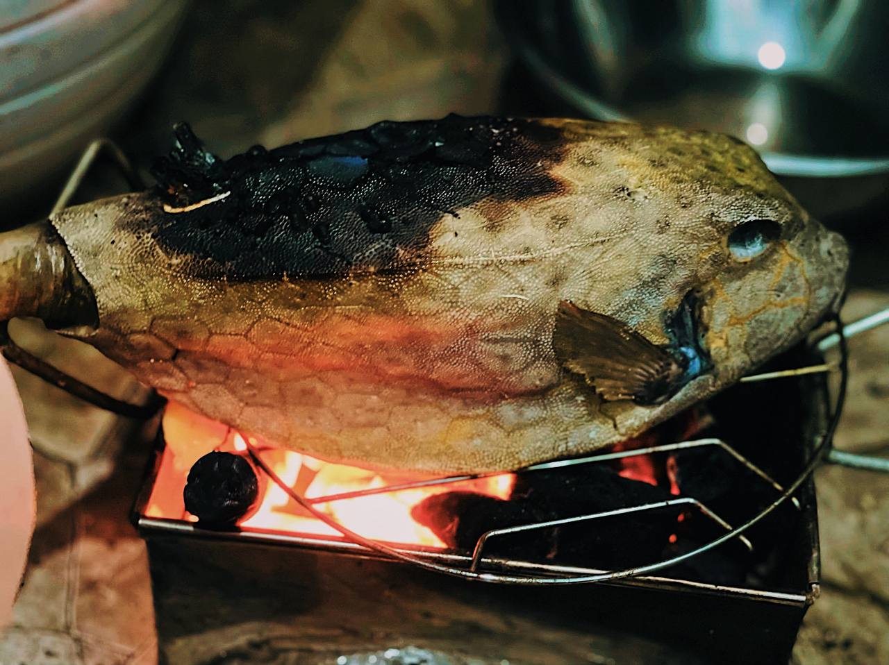 Cá bò hòm nướng - Thớ cá trắng muốt, dai ngọt ẩn sau lớp vỏ gai cứng làm nên đặc sản trác tuyệt - Ảnh 5.