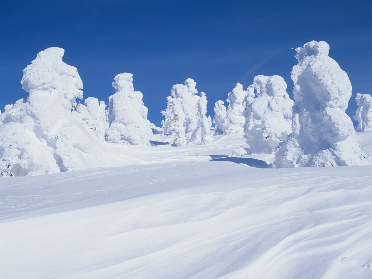 Cuộc sống ở thành phố tuyết dày nhất thế giới: &quot;Tường tuyết&quot; cao đến 8 mét, khách du lịch khắp thế giới đổ xô đến thăm vì một hiện tượng độc nhất - Ảnh 28.