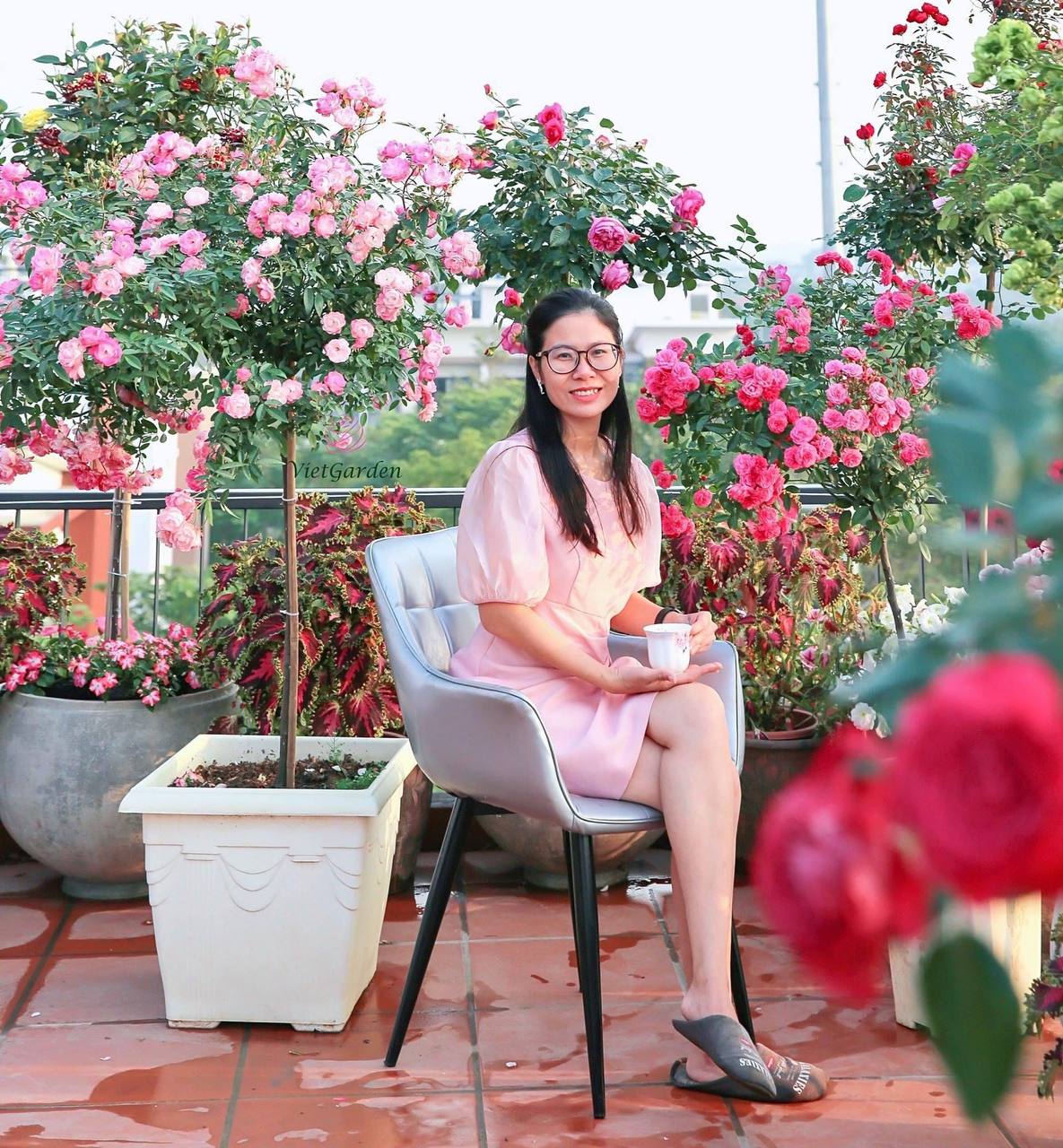 Ngắm đầm sen trên ban công đẹp nức lòng với gần 20 giống  hoa của chủ trang trại hoa nổi tiếng ở Hà Nội - Ảnh 1.