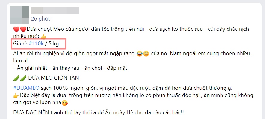 Dưa chuột Mèo “siêu to khổng lồ” xuống núi, giá cao vẫn hút khách   - Ảnh 5.