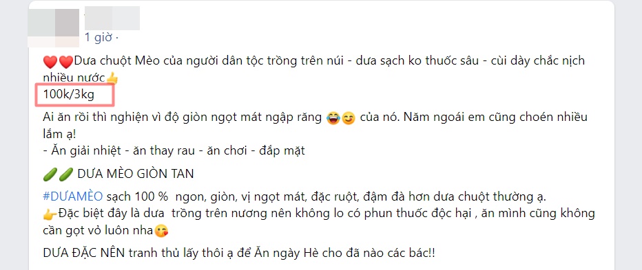 Dưa chuột Mèo “siêu to khổng lồ” xuống núi, giá cao vẫn hút khách   - Ảnh 4.