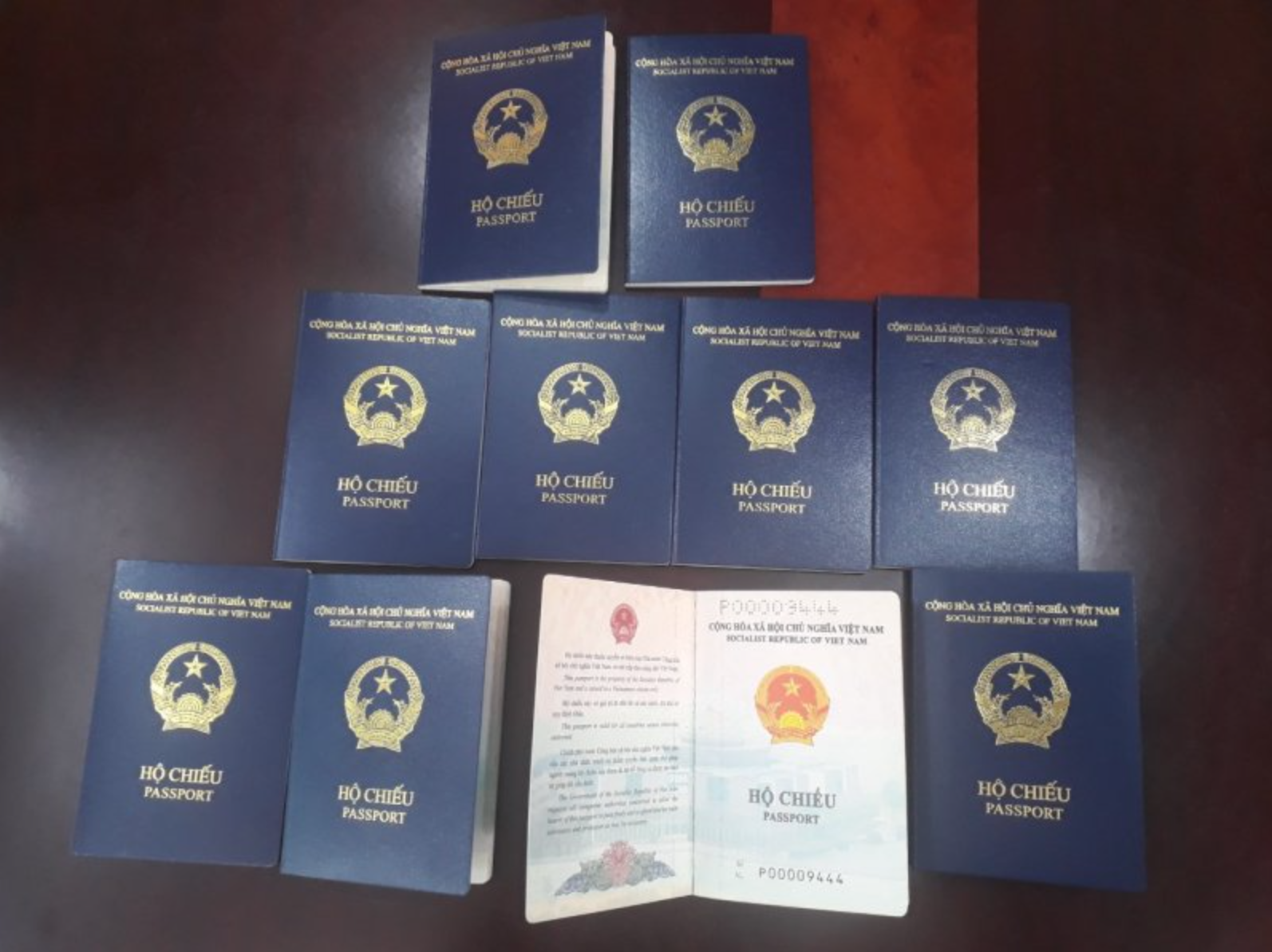 Đức chưa chấp nhận hộ chiếu bìa xanh tím than của Việt Nam vì thiếu nơi sinh? - Ảnh 1.