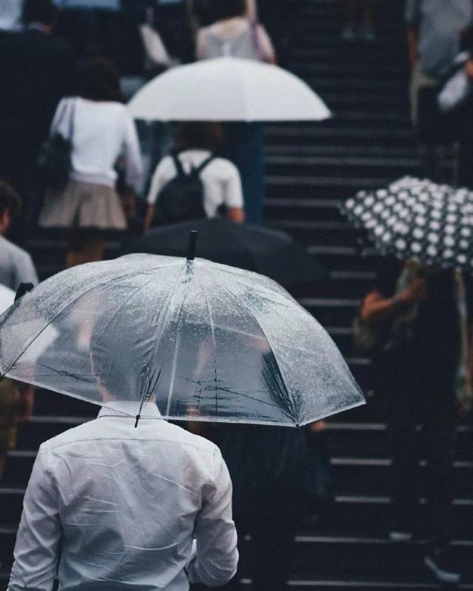 Vì Sao Người Nhật Chuộng Ô Cán Dài Trong Suốt?