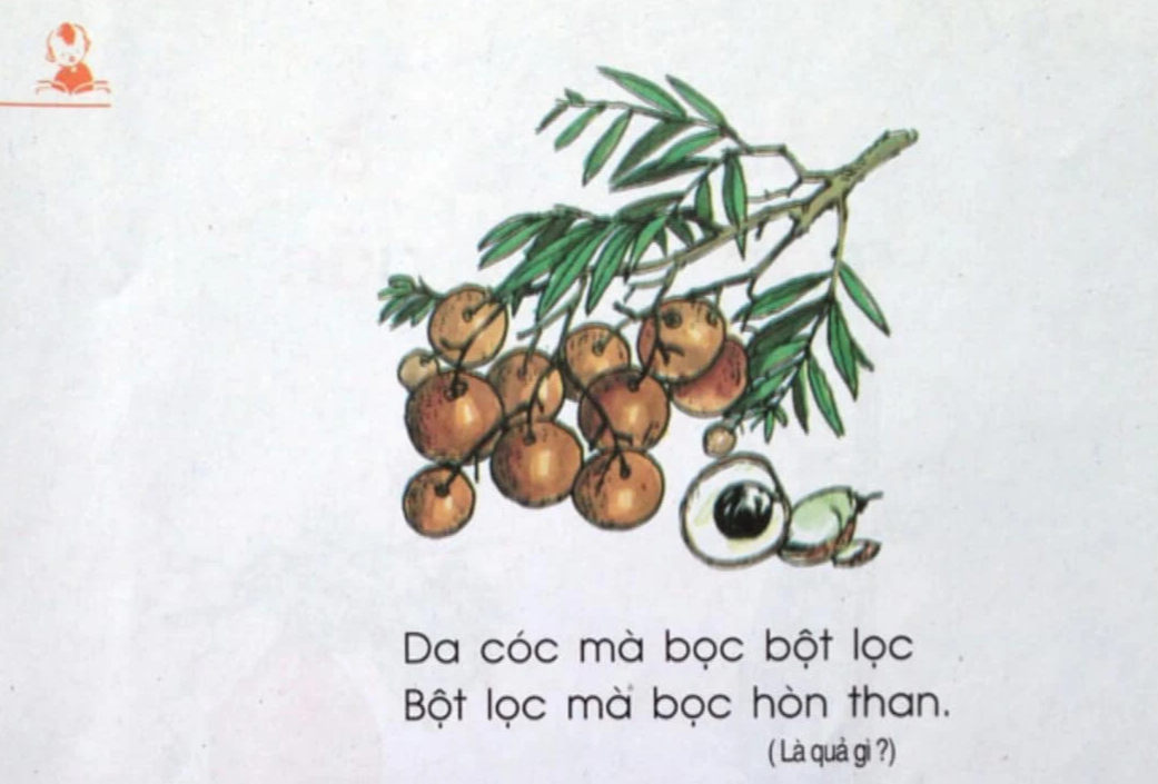 Câu đố Tiếng Việt Đây là quả gì? trong sách giáo khoa lớp 1, đoán đúng chứng tỏ ngày xưa học giỏi lắm! - Ảnh 1.