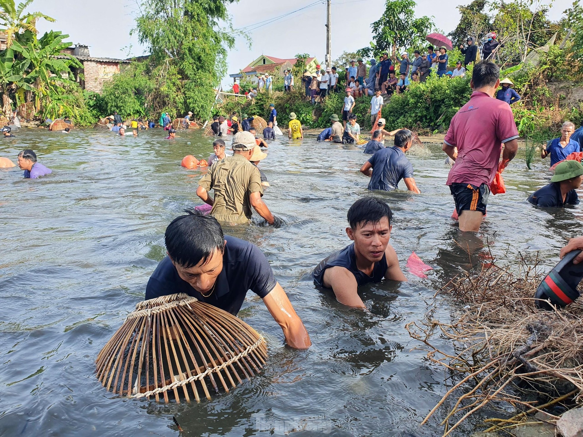 &quot;Nơm thủ&quot; thu tiền triệu sau vài giờ săn cá ở Nghệ An - Ảnh 4.