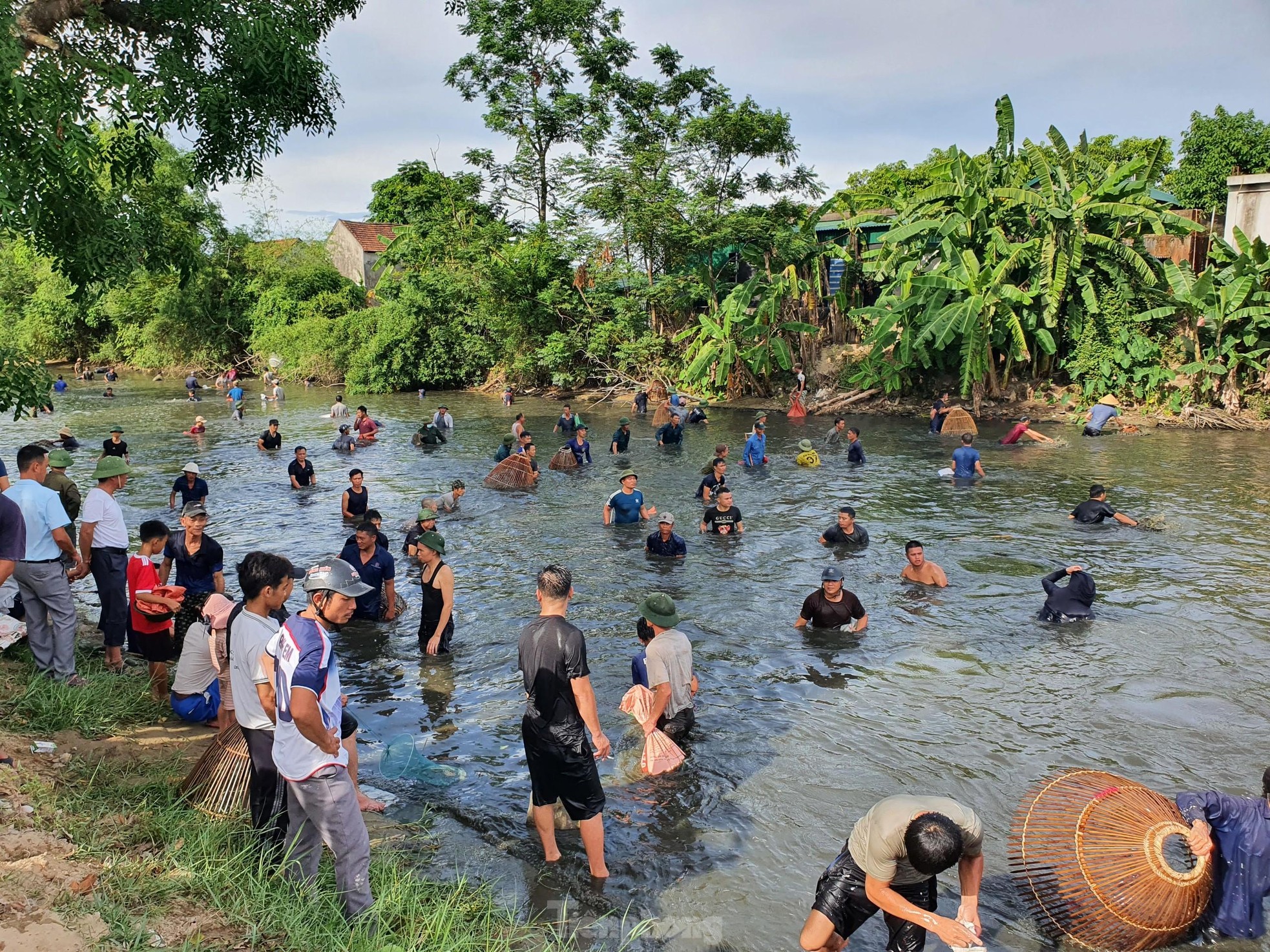 &quot;Nơm thủ&quot; thu tiền triệu sau vài giờ săn cá ở Nghệ An - Ảnh 2.