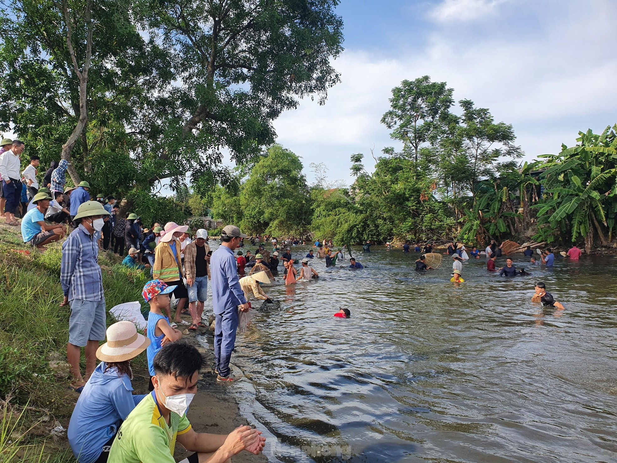 &quot;Nơm thủ&quot; thu tiền triệu sau vài giờ săn cá ở Nghệ An - Ảnh 1.