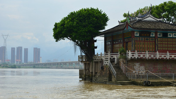 Ngôi chùa &quot;thần kỳ&quot; nhất Trung Quốc: &quot;Nổi bồng bềnh&quot; trên mặt nước, du khách đi phà đến bái lễ cổ thụ cầu duyên và may mắn - Ảnh 6.