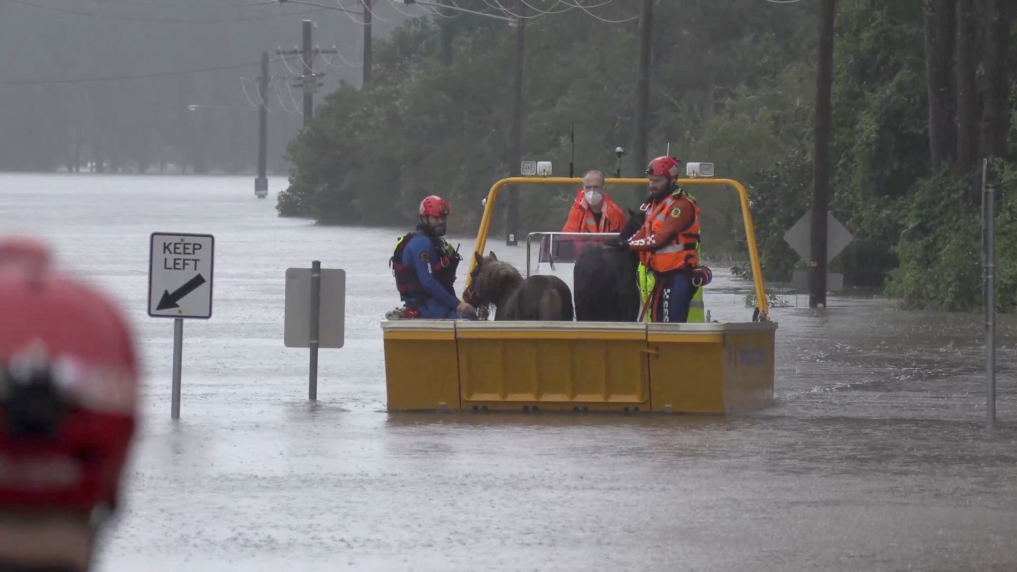 Úc ra lệnh sơ tán, người dân tuyệt vọng vì lũ lụt - Ảnh 1.