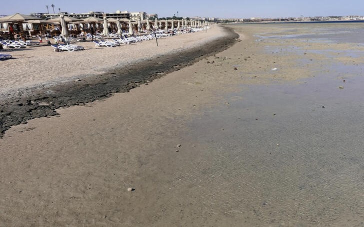 Ai Cập: Hai du khách bị cá mập cắn chết bất thường - Ảnh 2.