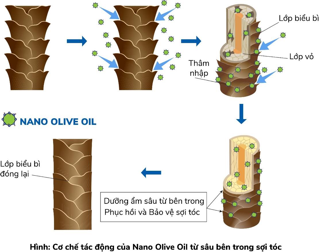 Cha đẻ khẩu trang Wakamono bất ngờ ra mắt dầu gội ngăn rụng tóc công nghệ nano dầu olive - Ảnh 3.