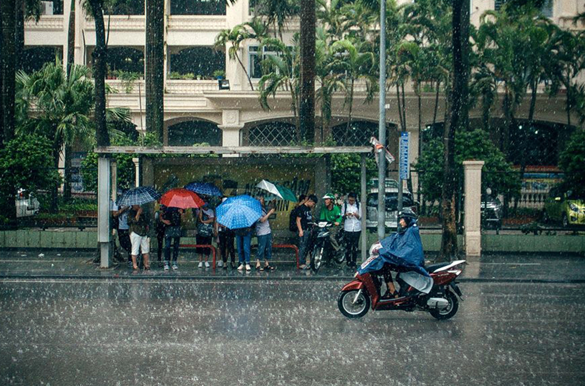 Hà Nội có mưa giông, Trung Bộ nhiều nơi trên 37 độ C - Ảnh 1.