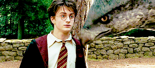 Vai Harry Potter suýt về tay mỹ nam này: Hoàn hảo từ nhan sắc đến diễn xuất, bị loại vì 1 điều luật khắt khe - Ảnh 2. Vai Harry Potter suýt về tay mỹ nam này: Hoàn hảo từ nhan sắc đến diễn xuất, bị loại vì 1 điều luật khắt khe - Ảnh 2.