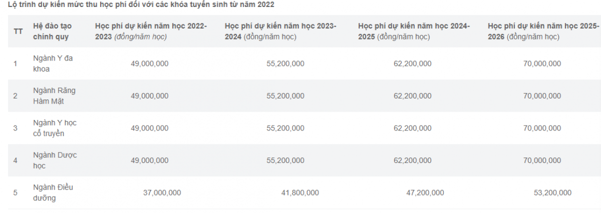 Học phí ngành y, dược tăng mạnh, có lo bỏ lọt thí sinh &quot;giỏi nhưng không giàu&quot;? - Ảnh 2.