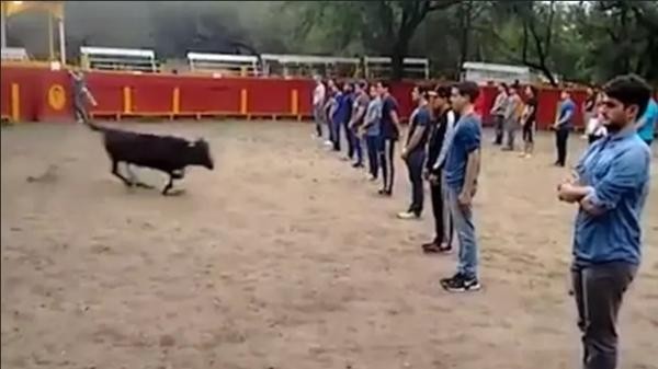 Thầy giáo ở Mexico gây tranh cãi khi bắt sinh viên xếp thành 3 hàng ngay trước mặt bò tót - Ảnh 1.