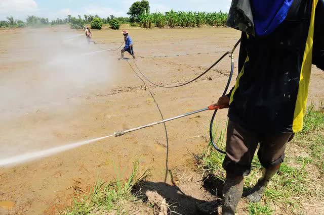 Sa mạc có một loại dưa hấu kỳ lạ nhưng không ai dám ăn, nguy hiểm đến mức phải để bảng cấm - Ảnh 12.