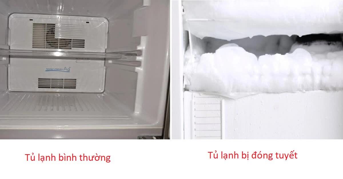 Thử cách để khẩu trang như thế này vào tủ lạnh sẽ giúp bạn tiết kiệm được khoản tiền điện không hề nhỏ! - Ảnh 1.