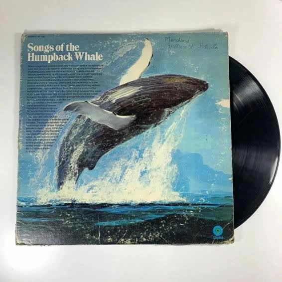 4 âm thanh của tự nhiên được lưu thành đĩa nhạc: Tiếng hót của loài chim sắp tuyệt chủng cùng tiếng vọng của trái đất, quá khứ và cá voi - Ảnh 12.
