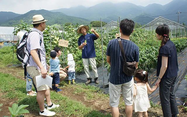 Thú vui điền viên của dân thành thị Nhật Bản: Thuê đất trồng rau, nghỉ việc về làm nông dân tại thành phố tấc đất tấc vàng