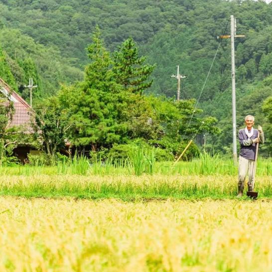 Thú vui điền viên của dân thành thị Nhật Bản: Thuê đất trồng rau, nghỉ việc về làm nông dân tại thành phố tấc đất tấc vàng - Ảnh 16.