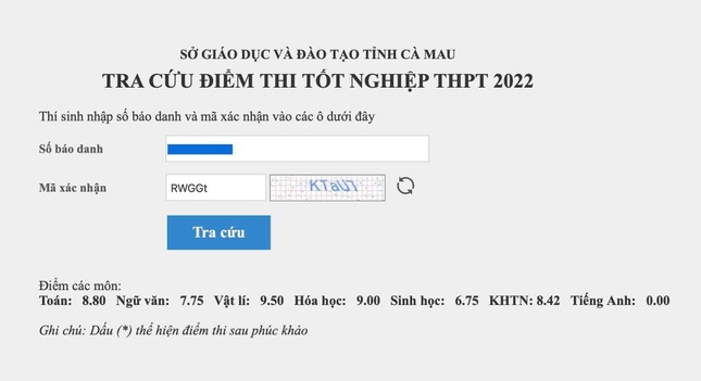 Sở GD&ĐT Cà Mau: Thấy học sinh úp mặt xuống bàn, giám thị ngỡ đã làm xong? - Ảnh 2.