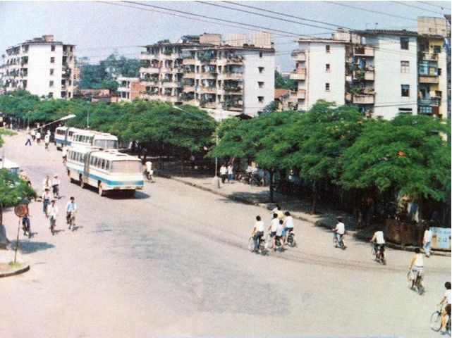 Xoài nhãn rải khắp phố phường, tưởng thiên đường nhưng lại là 'nỗi khổ không lời' của các thành phố Trung Quốc - Ảnh 2. Xoài nhãn rải khắp phố phường, tưởng thiên đường nhưng lại là 'nỗi khổ không lời' của các thành phố Trung Quốc - Ảnh 2.