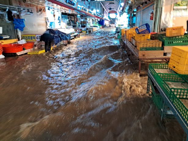Chùm ảnh: Seoul "xung quanh toàn là nước" trong trận mưa lớn nhất 80 năm, hàng loạt người phải rời bỏ nhà cửa - Ảnh 11.